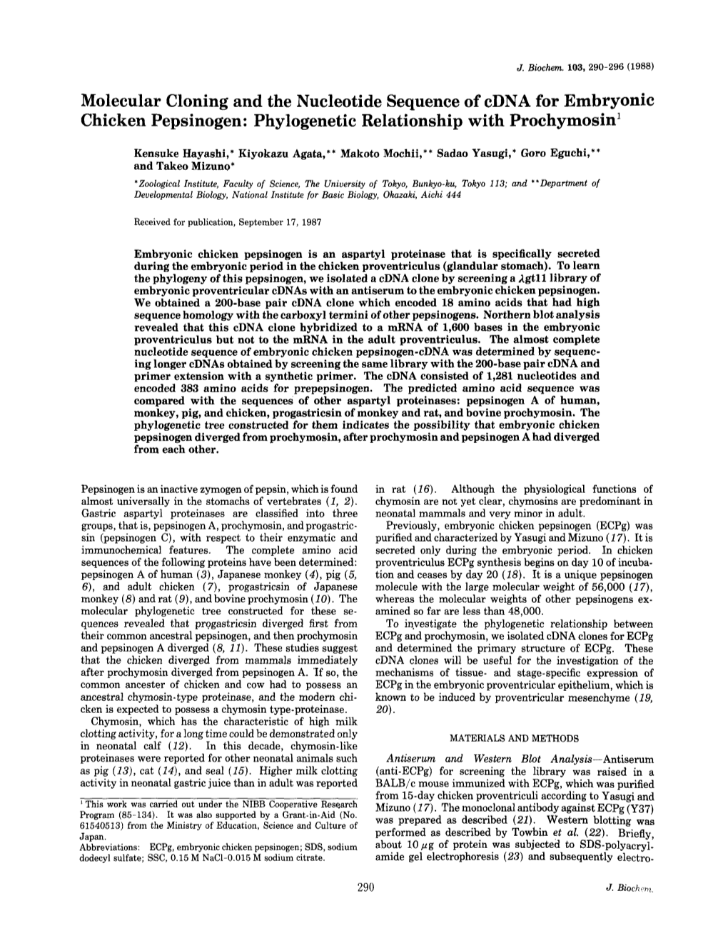 Molecular Cloning and the Nucleotide Sequence of Cdna for Embryonic Chicken Pepsinogen: Phylogenetic Relationship with Prochymosin1