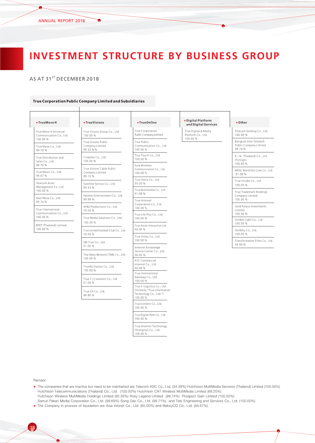 Investment Structure by Business Group