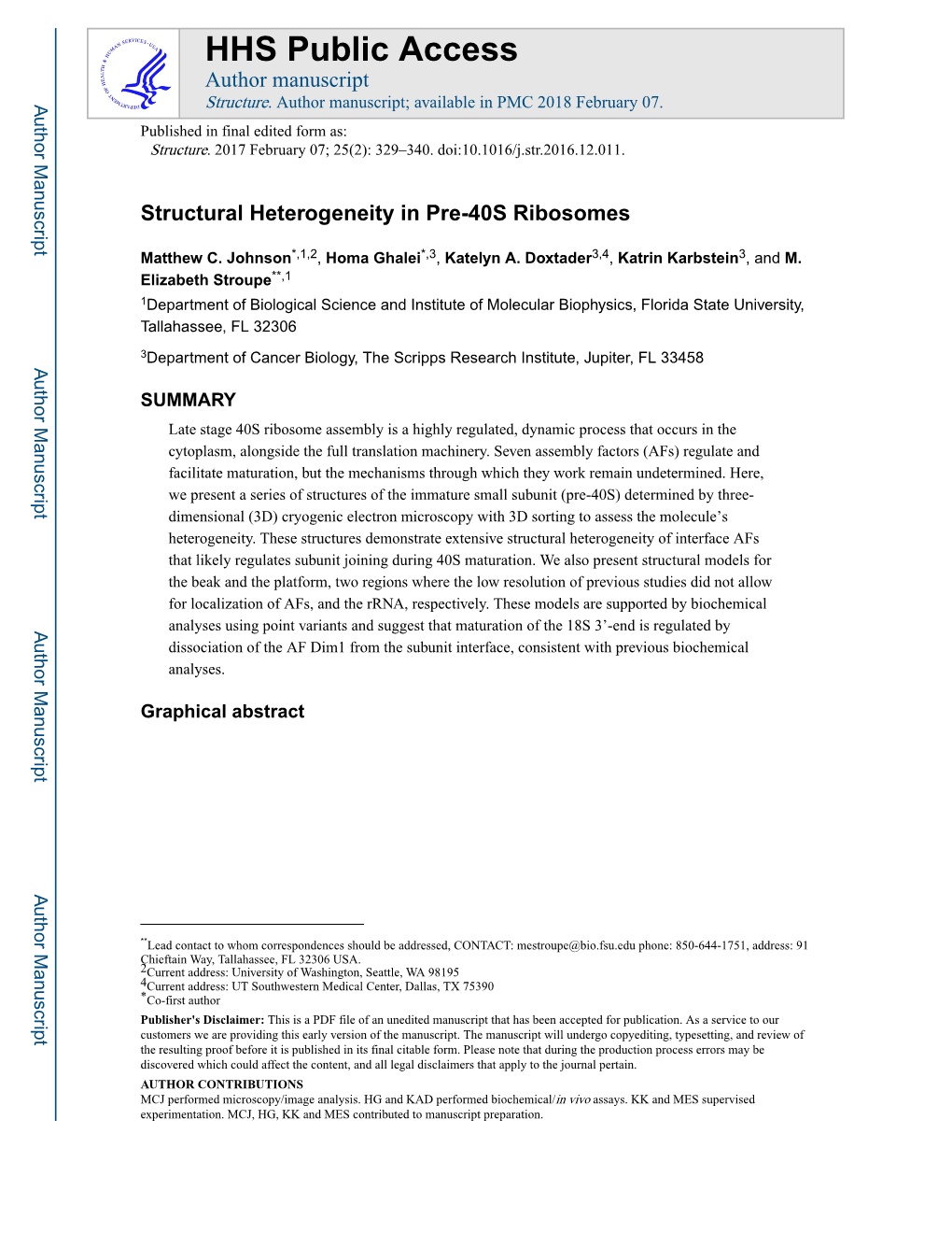 Structural Heterogeneity in Pre-40S Ribosomes