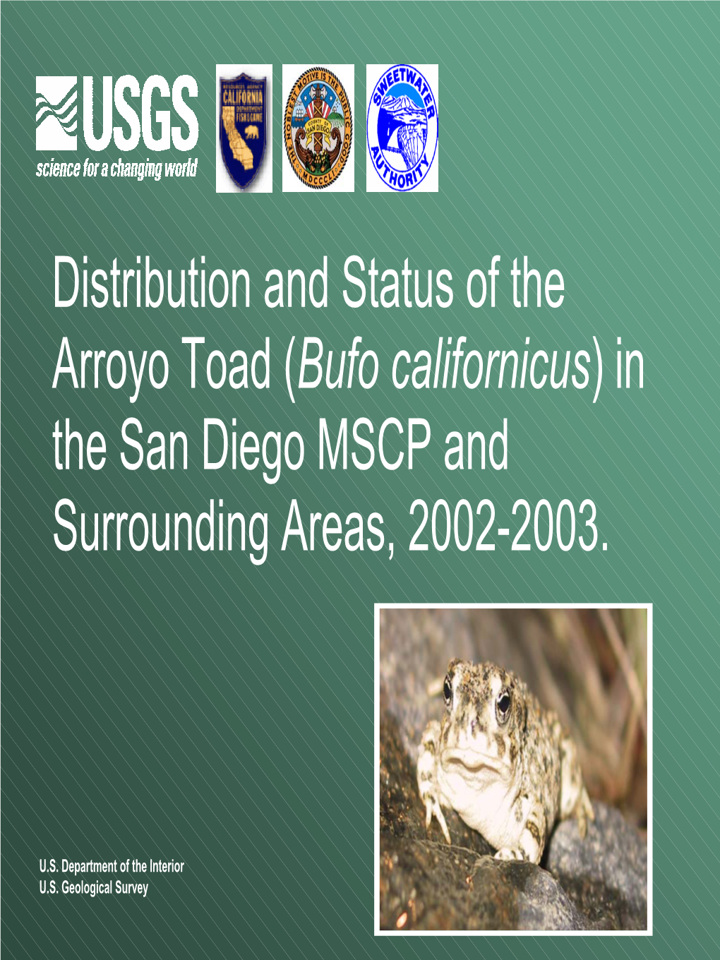 Distribution and Status of the Arroyo Toad (Bufo Californicus) in the San Diego MSCP and Surrounding Areas, 2002-2003