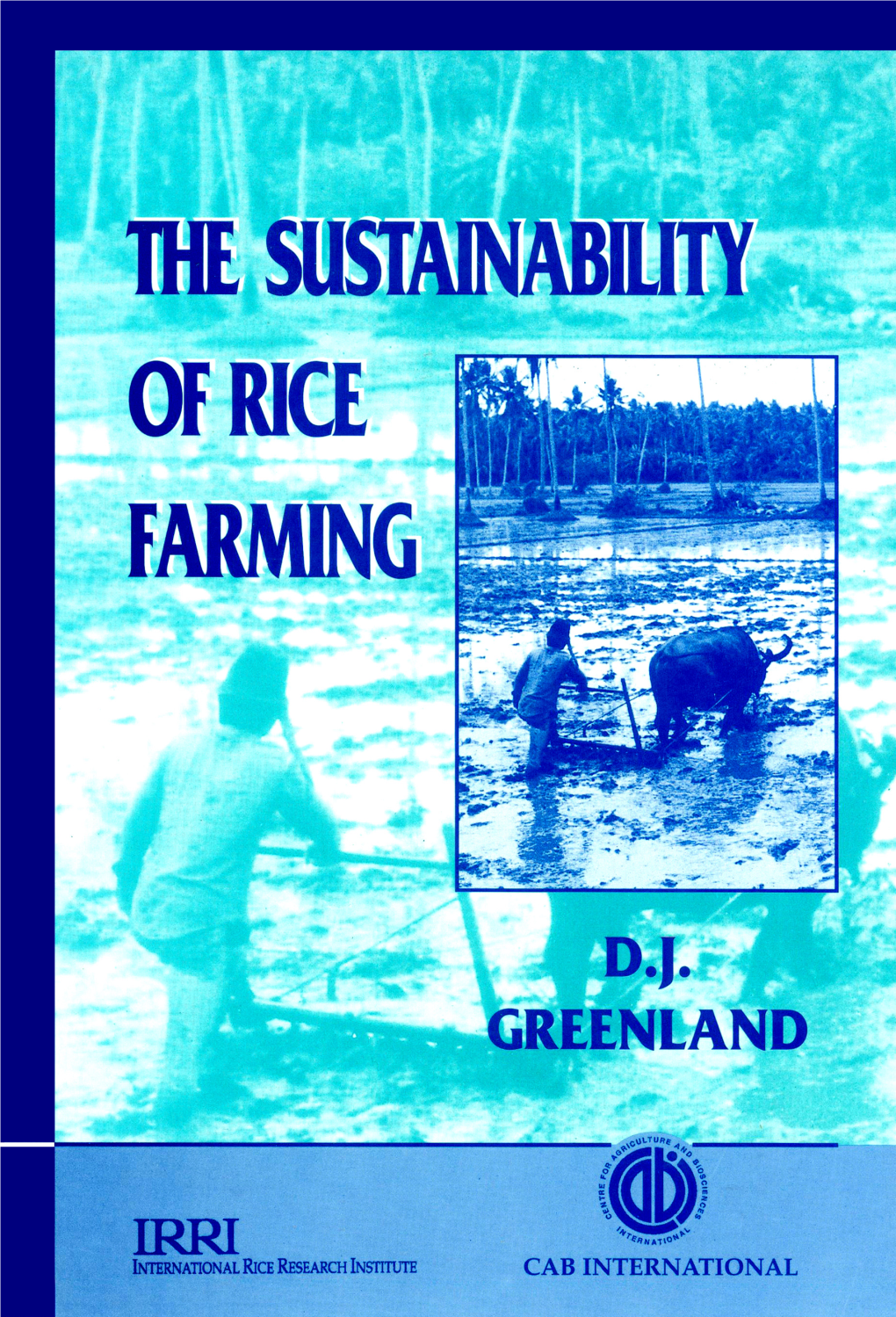 The Sustainability of Rice Farming