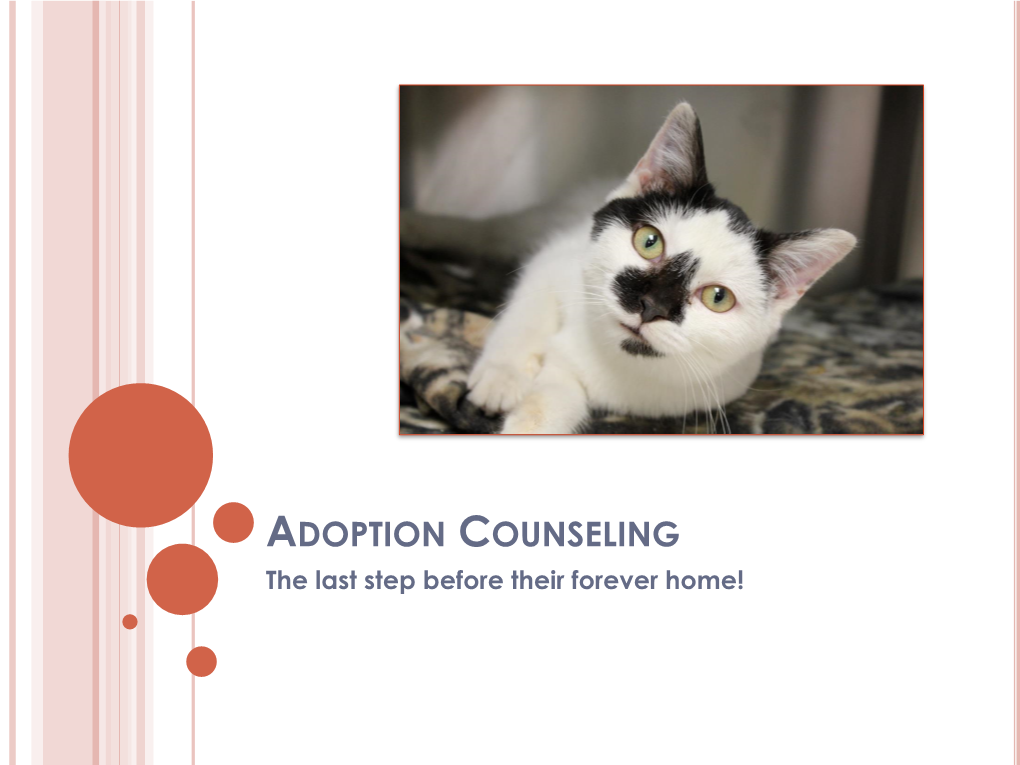 ADOPTION COUNSELING the Last Step Before Their Forever Home! the WHY Understanding the Value of Adoption Meetings the WHY: a FOREVER HOME IS MADE, NOT FOUND