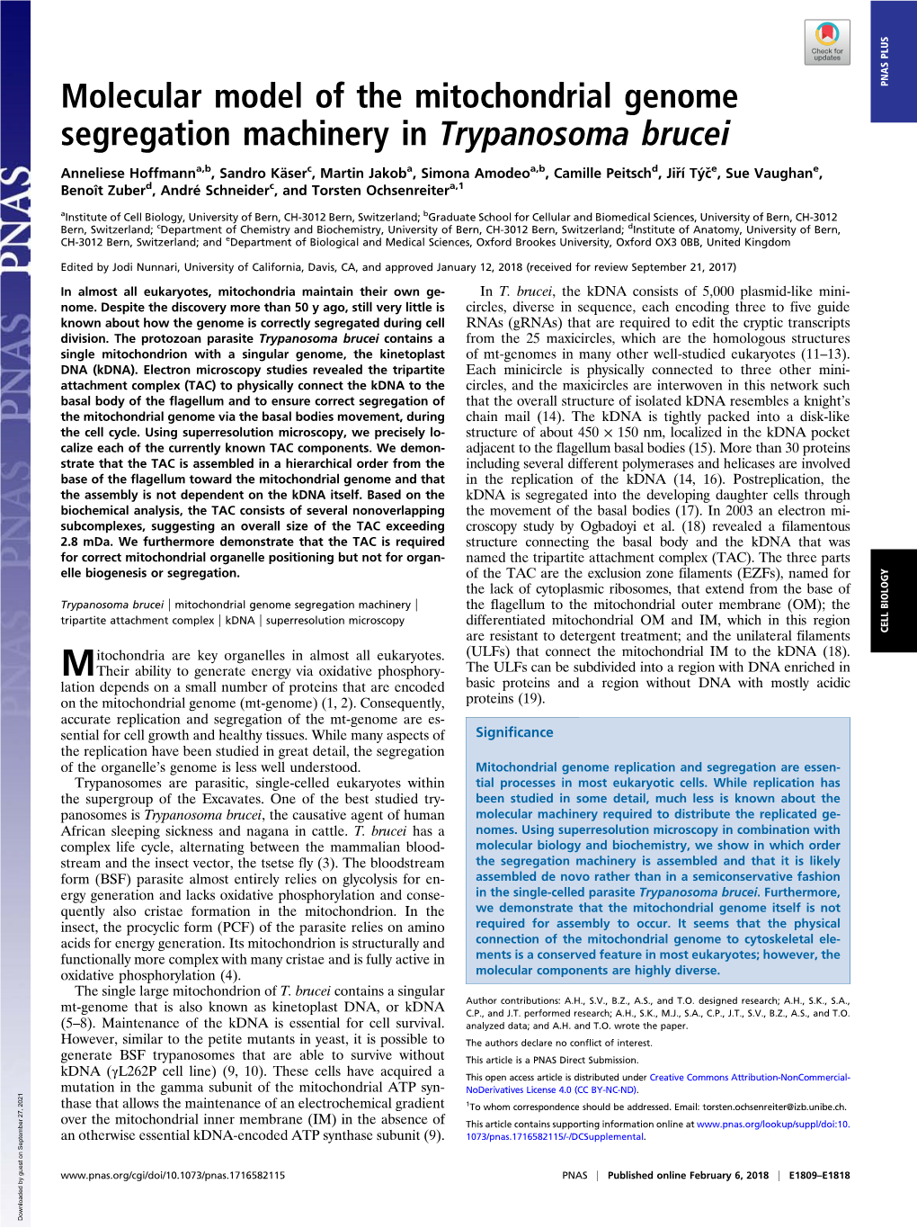 Molecular Model of the Mitochondrial Genome Segregation Machinery In