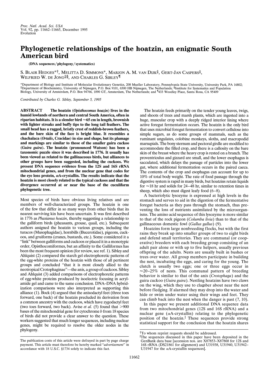 Phylogenetic Relationships of the Hoatzin, an Enigmatic South American Bird (DNA Sequences / Phylogeny/Systematics)