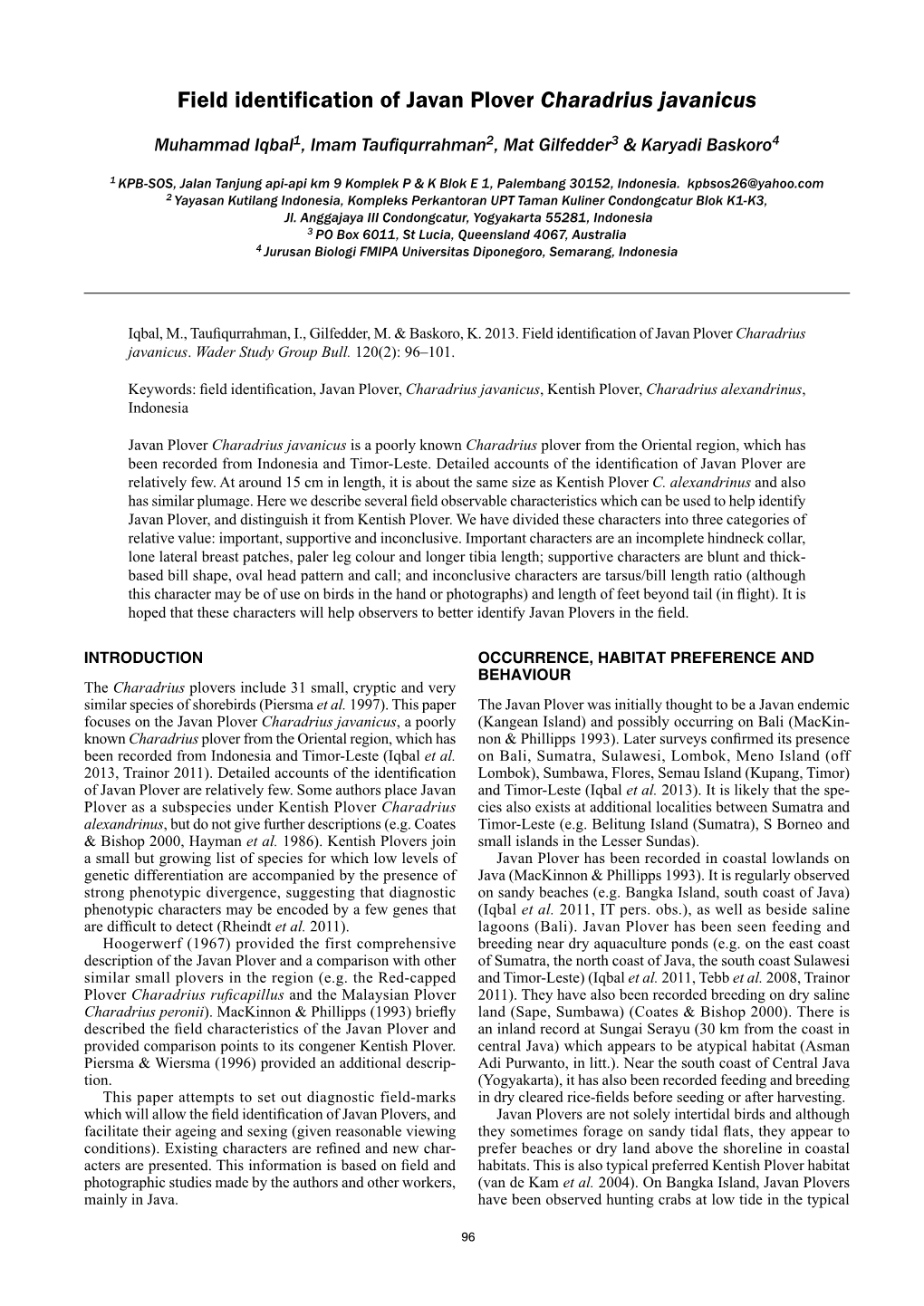 Field Identification of Javan Plover Charadrius Javanicus