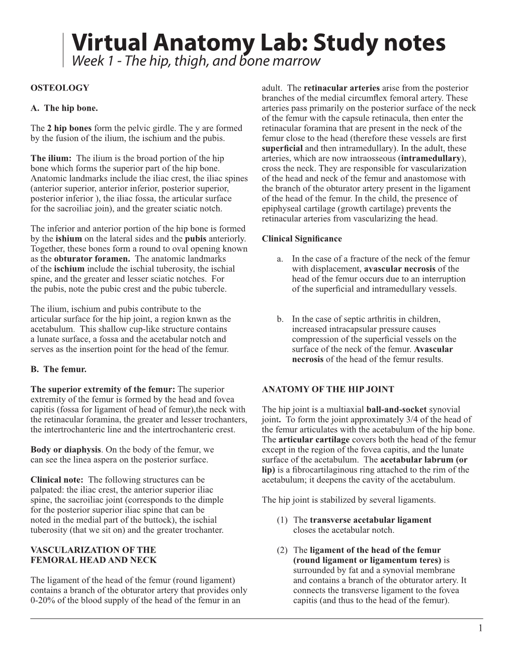 Virtual Anatomy Lab: Study Notes Week 1 - the Hip, Thigh, and Bone Marrow