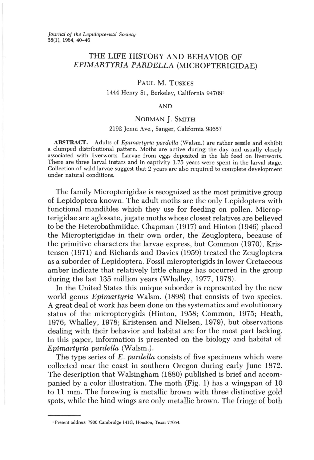 The Life History and Behavior of Epimartyria Pardella (Micropterigidae)