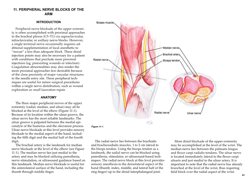 11. Peripheral Nerve Blocks of the Arm