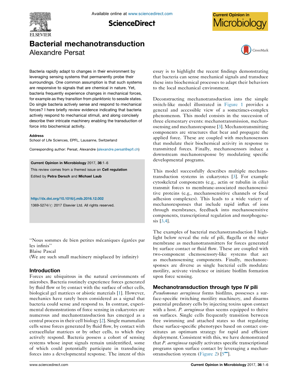 Bacterial Mechanotransduction