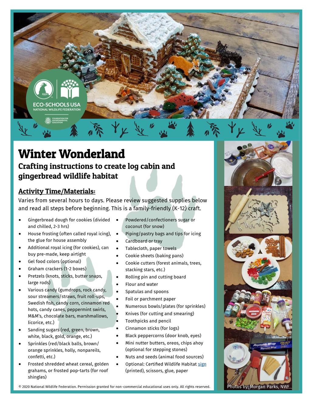 Winter Wonderland & Wildlife Habitat