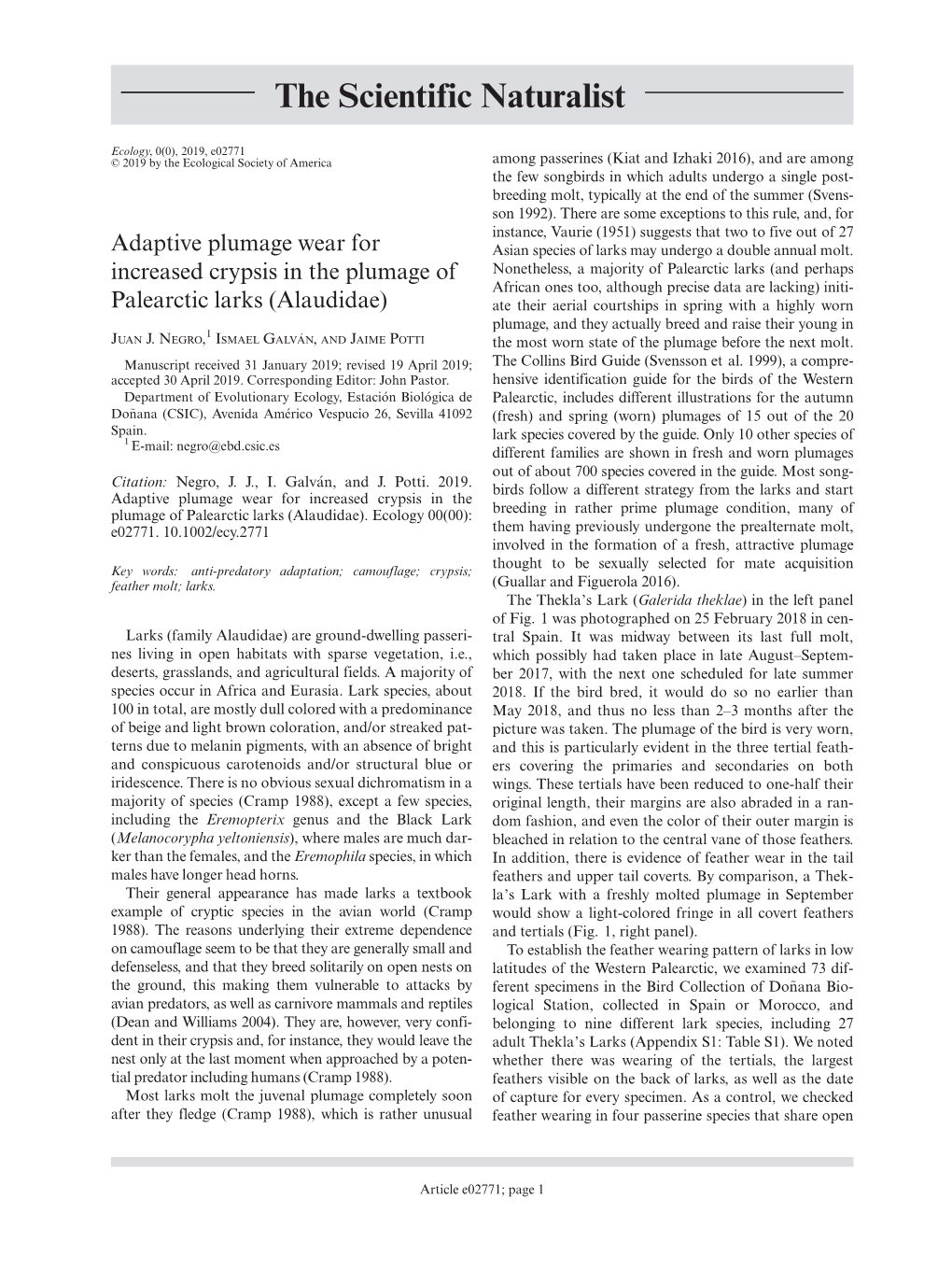 Adaptive Plumage Wear for Increased Crypsis in the Plumage of Palearctic Larks (Alaudidae)