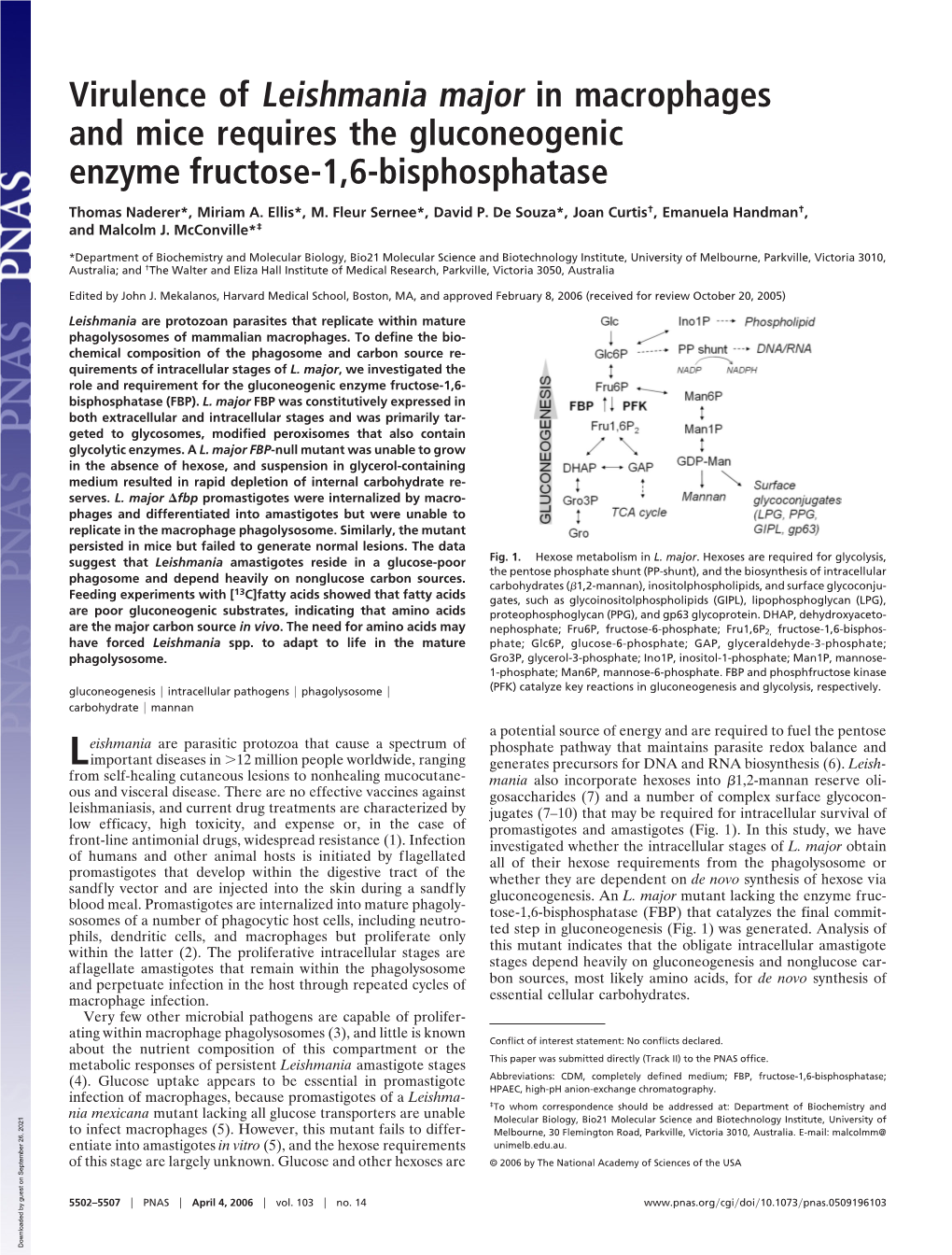 Virulence of Leishmania Major in Macrophages and Mice Requires the Gluconeogenic Enzyme Fructose-1,6-Bisphosphatase