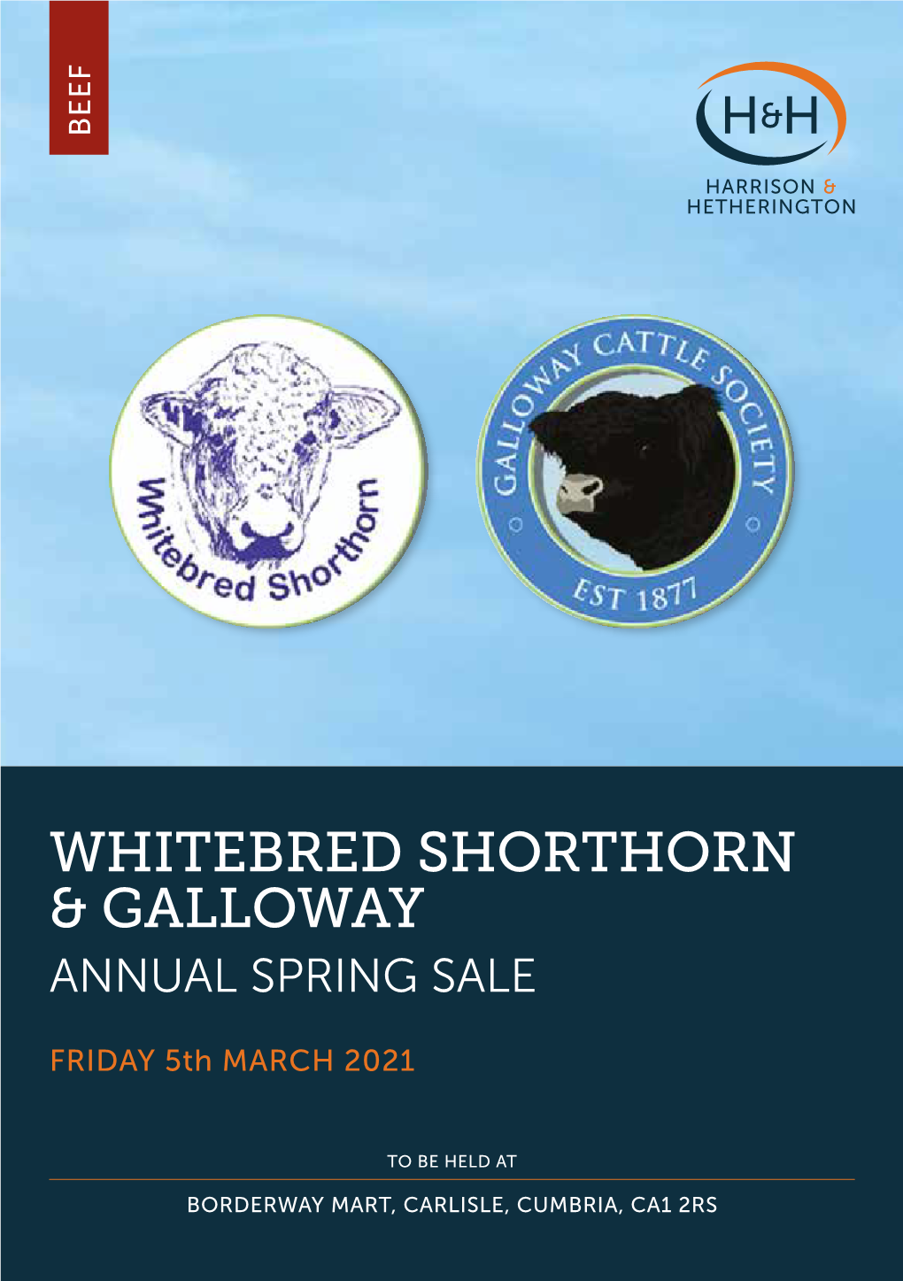 Whitebred Shorthorn & Galloway