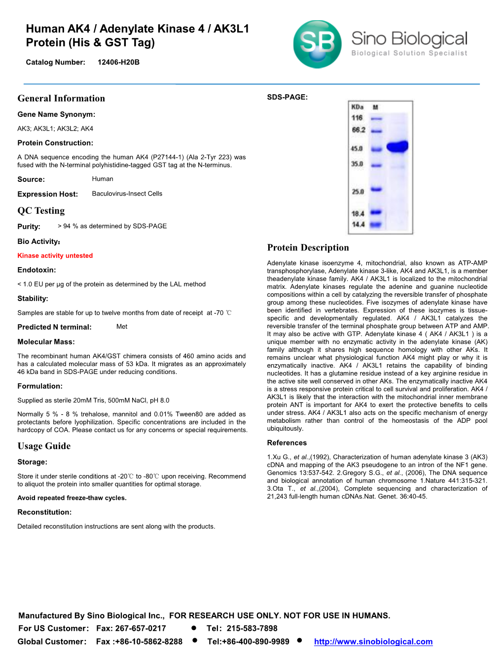 Human AK4 / Adenylate Kinase 4 / AK3L1 Protein (His & GST Tag)