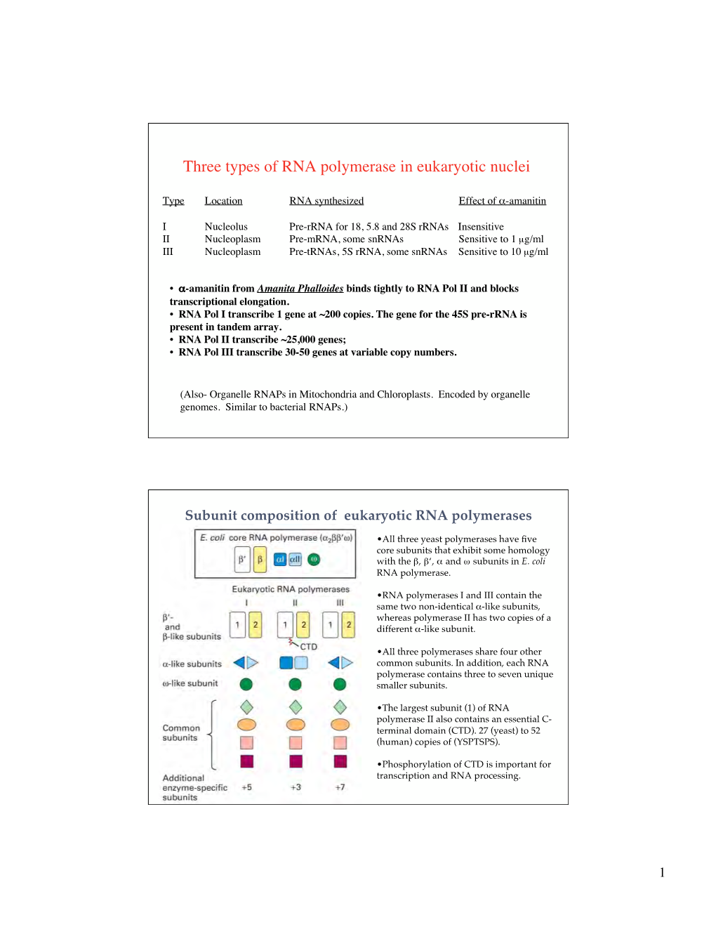 Three Types of RNA Polymerase in Eukaryotic Nuclei