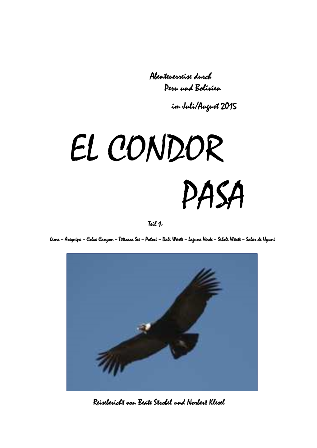 14 EL CONDOR PASA Teil 1