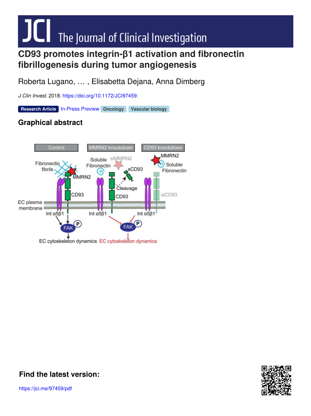 CD93 Promotes Integrin-Β1 Activation and Fibronectin Fibrillogenesis During Tumor Angiogenesis