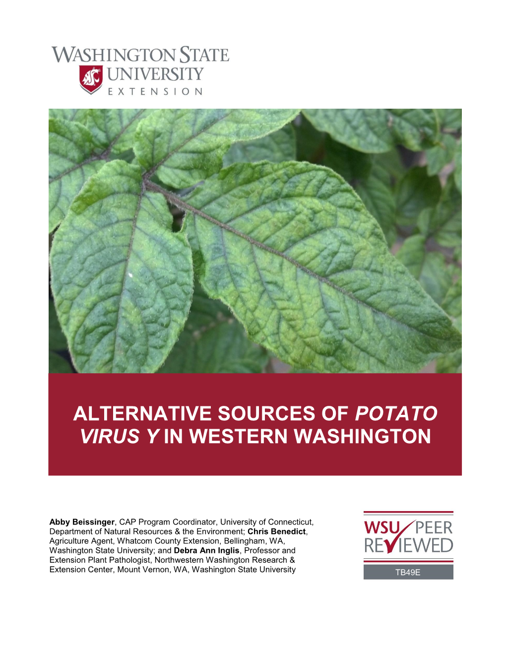 Alternative Sources of Potato Virus Y in Western Washington