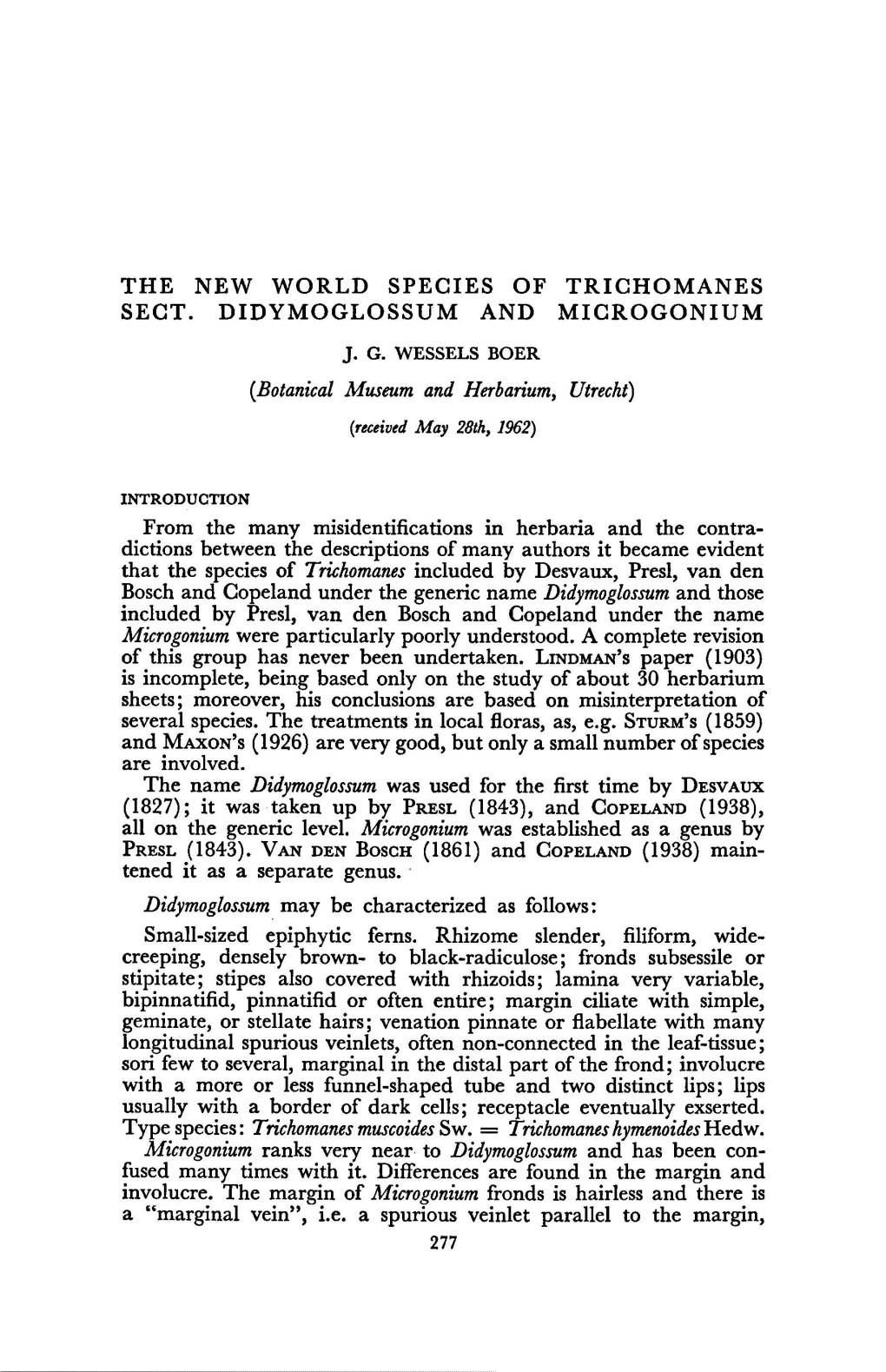 1962) Didymoglossum Epiphytic Slender, Filiform, Creeping, Densely Black-Radiculose