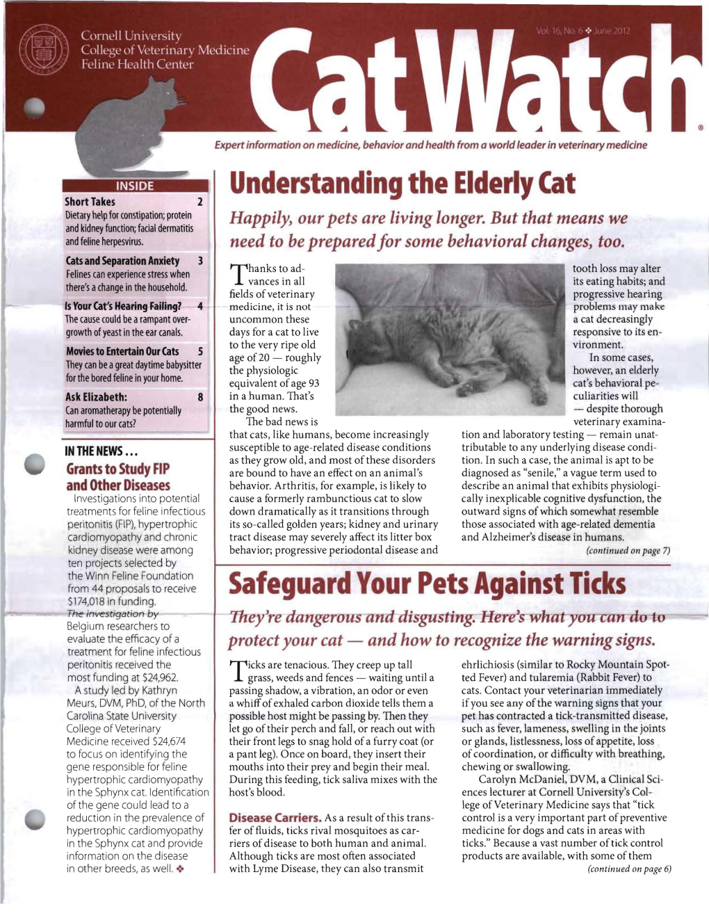 Understanding the Elderly Cat Safeguard Your Pets Against Ticks