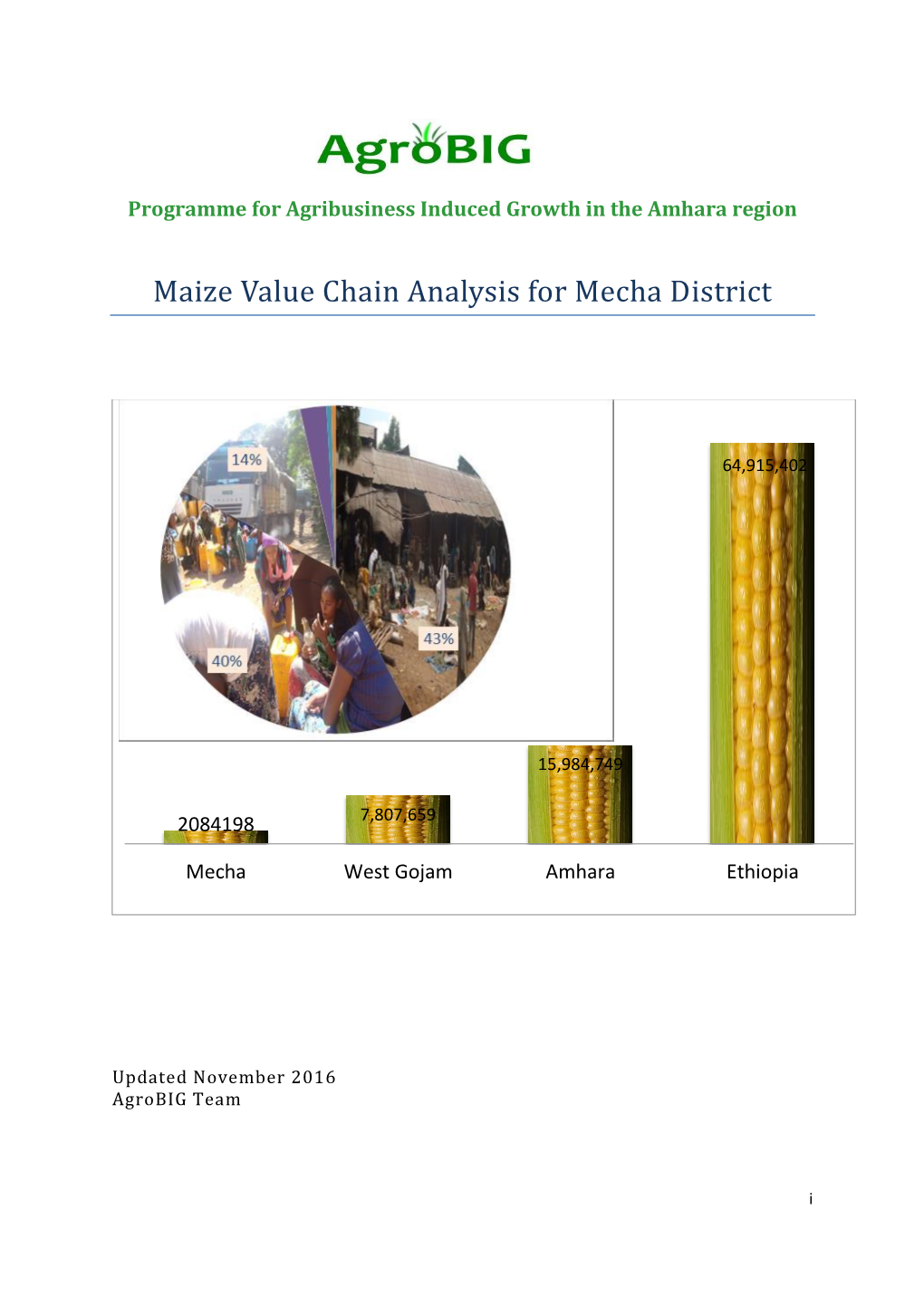 Maize Value Chain Analysis for Mecha District