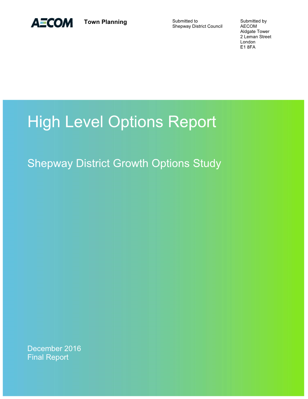 High Level Options Report