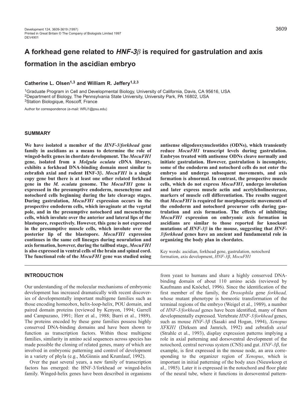 A Forkhead Gene Related to HNF-3Β Is Required for Gastrulation and Axis Formation in the Ascidian Embryo