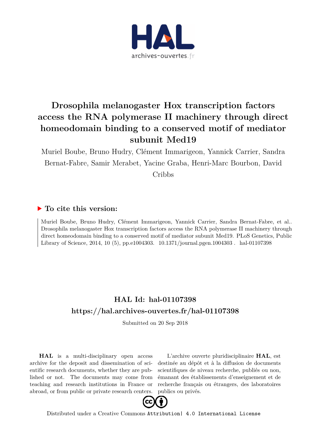 Drosophila Melanogaster Hox Transcription