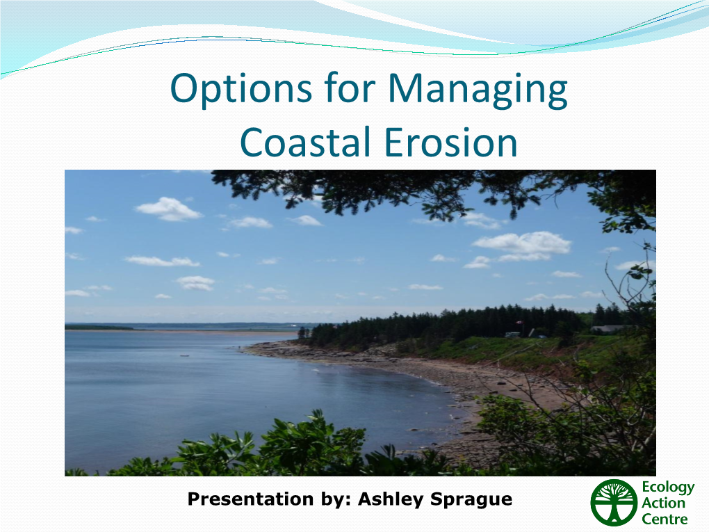 Options for Managing Coastal Erosion