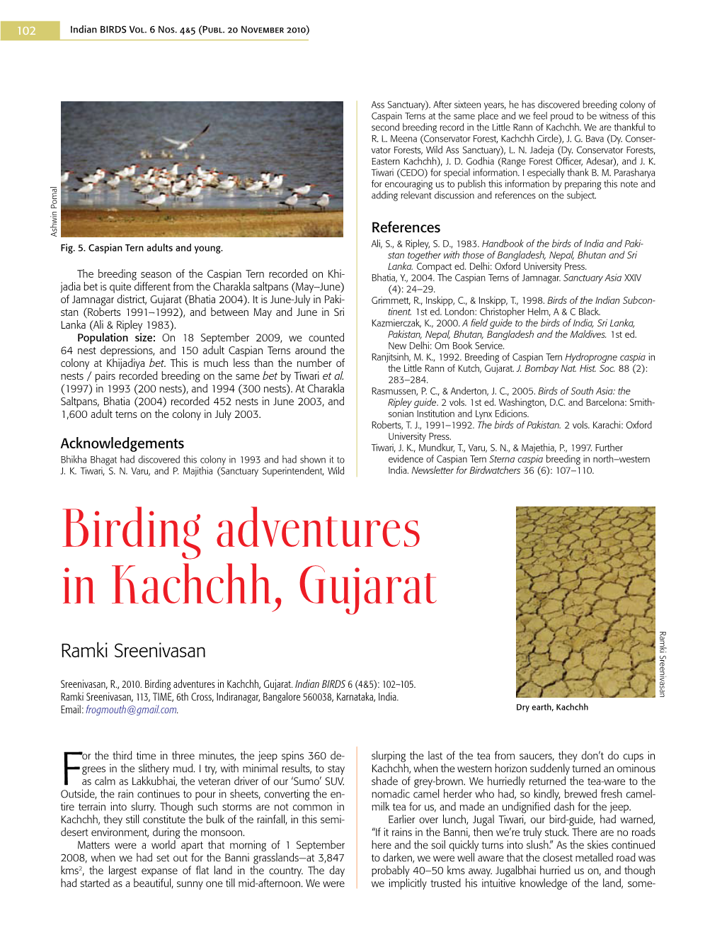 Birding Adventures in Kachchh, Gujarat Ramki Sreenivasan Ramki Ramki Sreenivasan