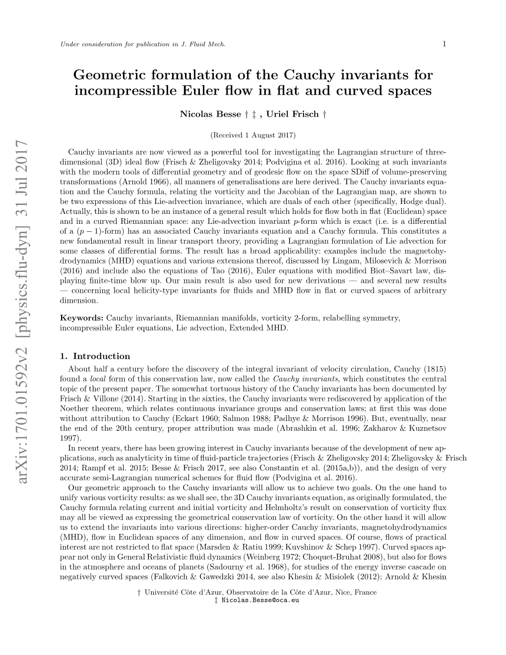 Geometric Formulation of the Cauchy Invariants for Incompressible Euler Flow in Flat and Curved Spaces