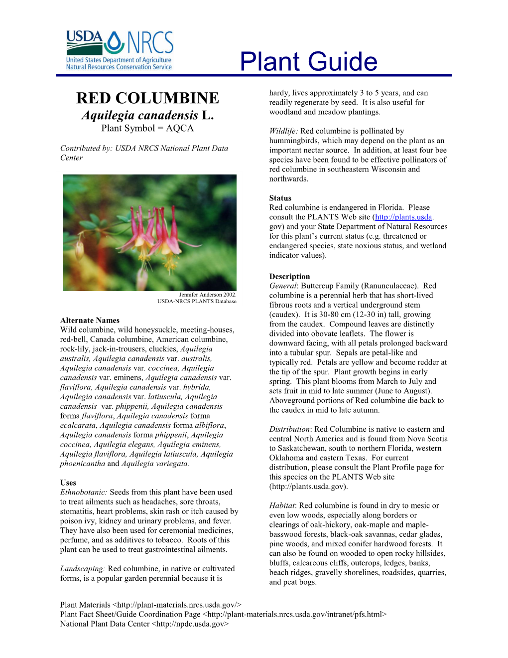 RED COLUMBINE Readily Regenerate by Seed