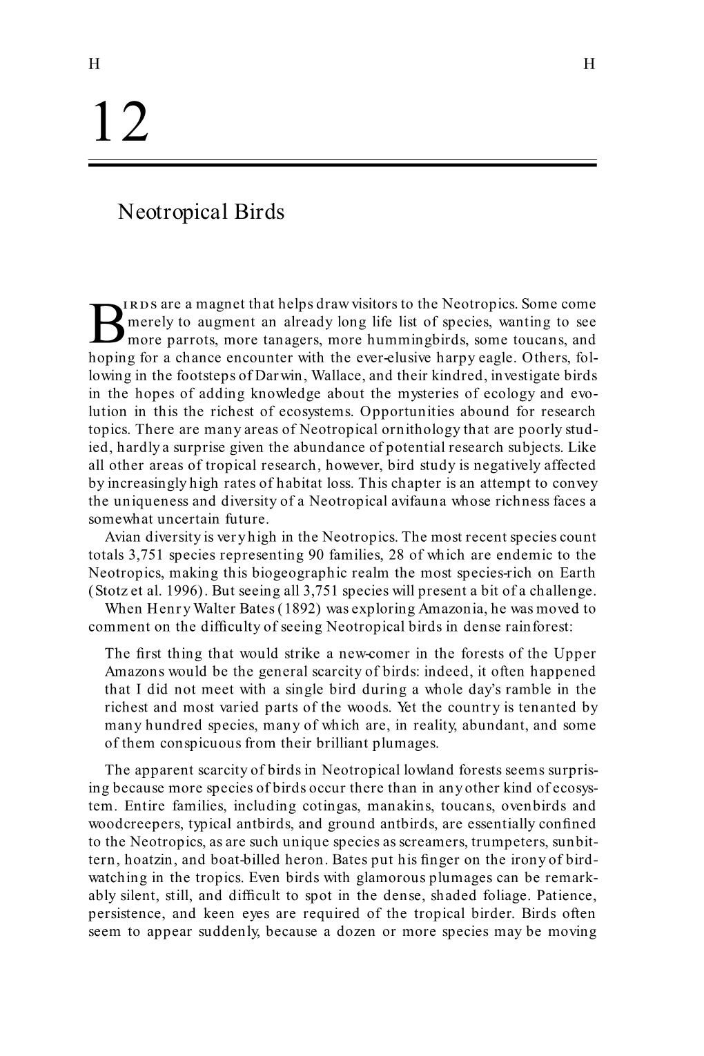 Neotropical Birds