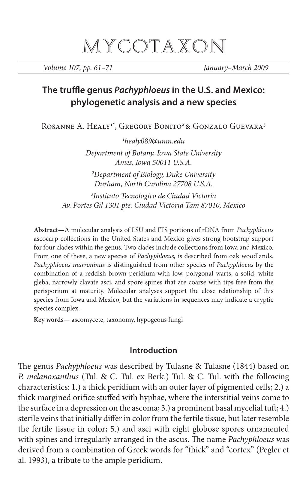 The Truffle Genus <I>Pachyphloeus</I