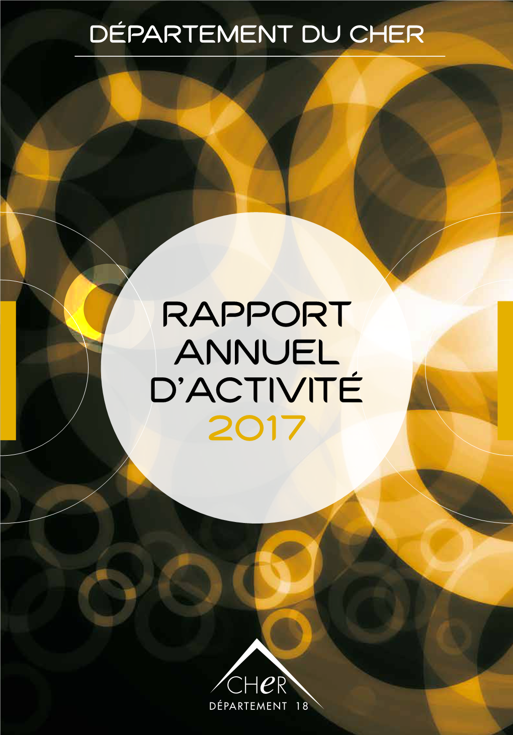 Rapport Annuel D'activité 2017