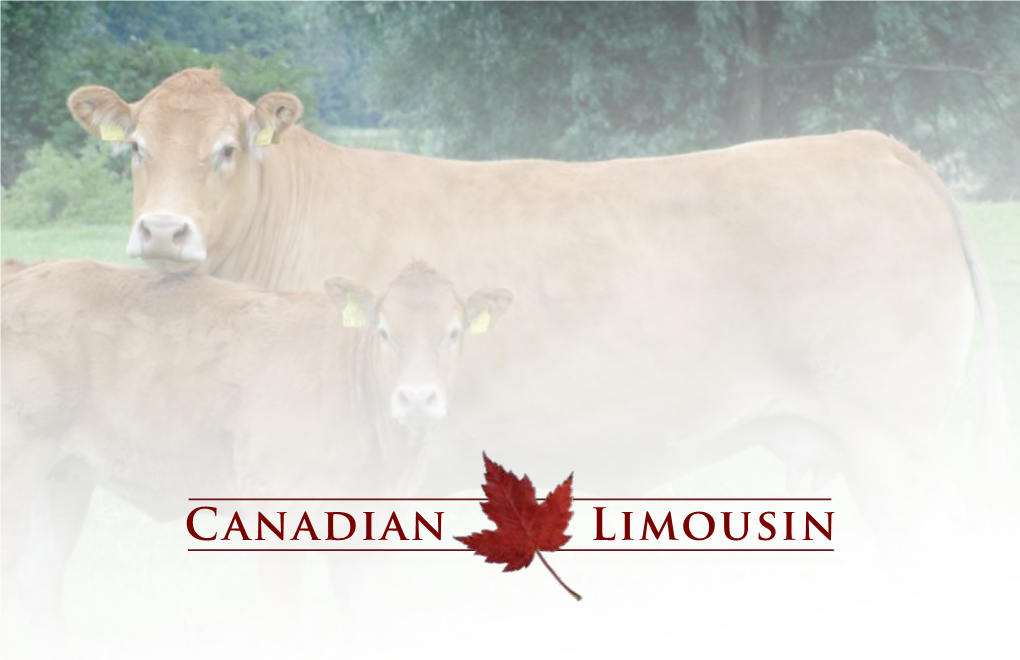 Canadian Limousin Association