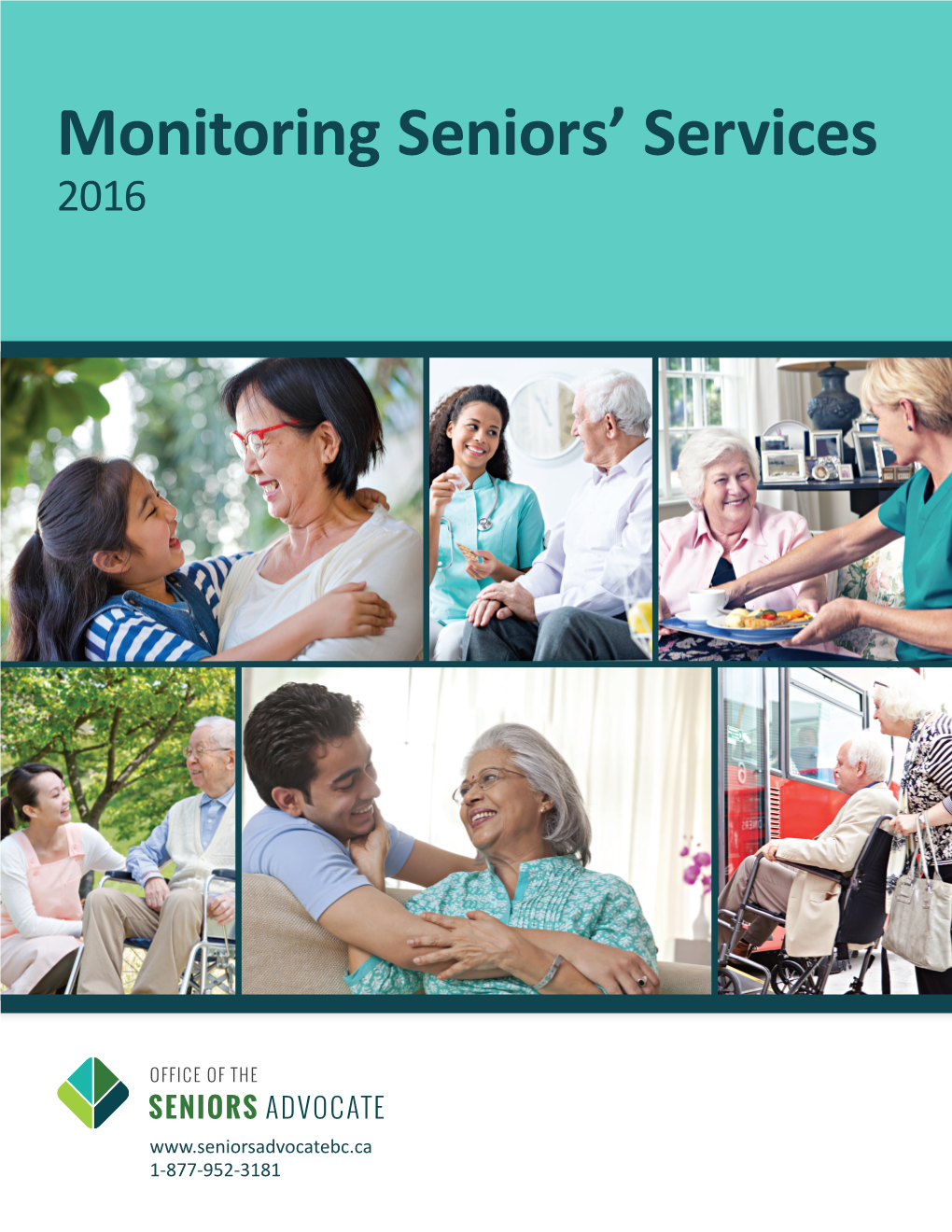 Monitoring Seniors Services 2016