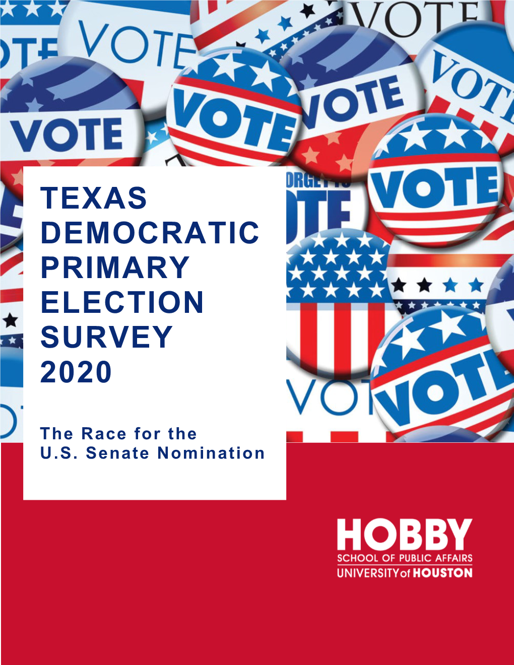 Texas Democratic Primary Election Survey 2020