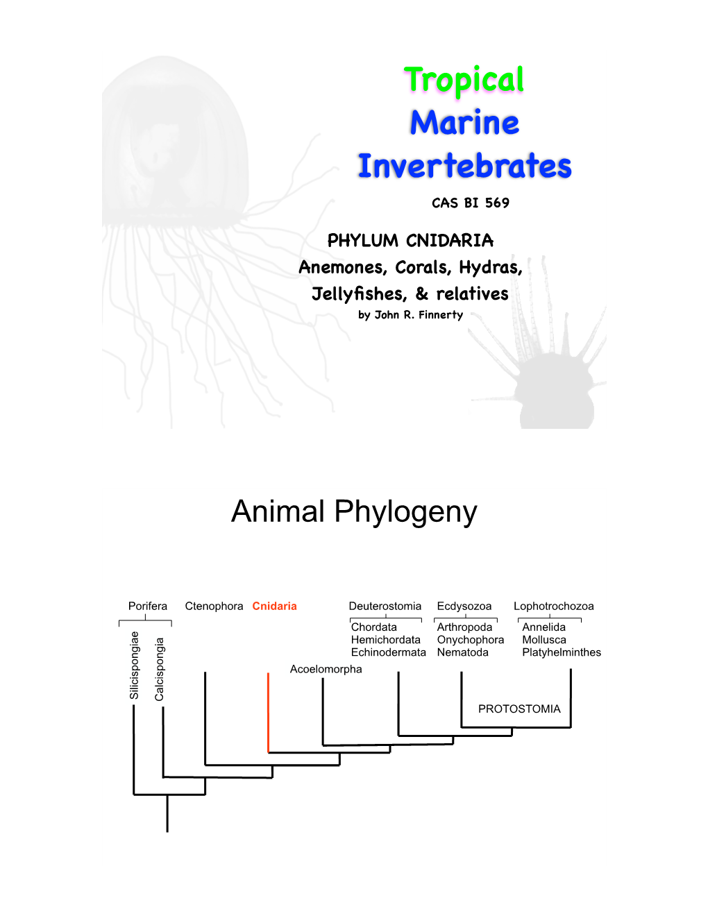 Tropical Marine Invertebrates CAS BI 569