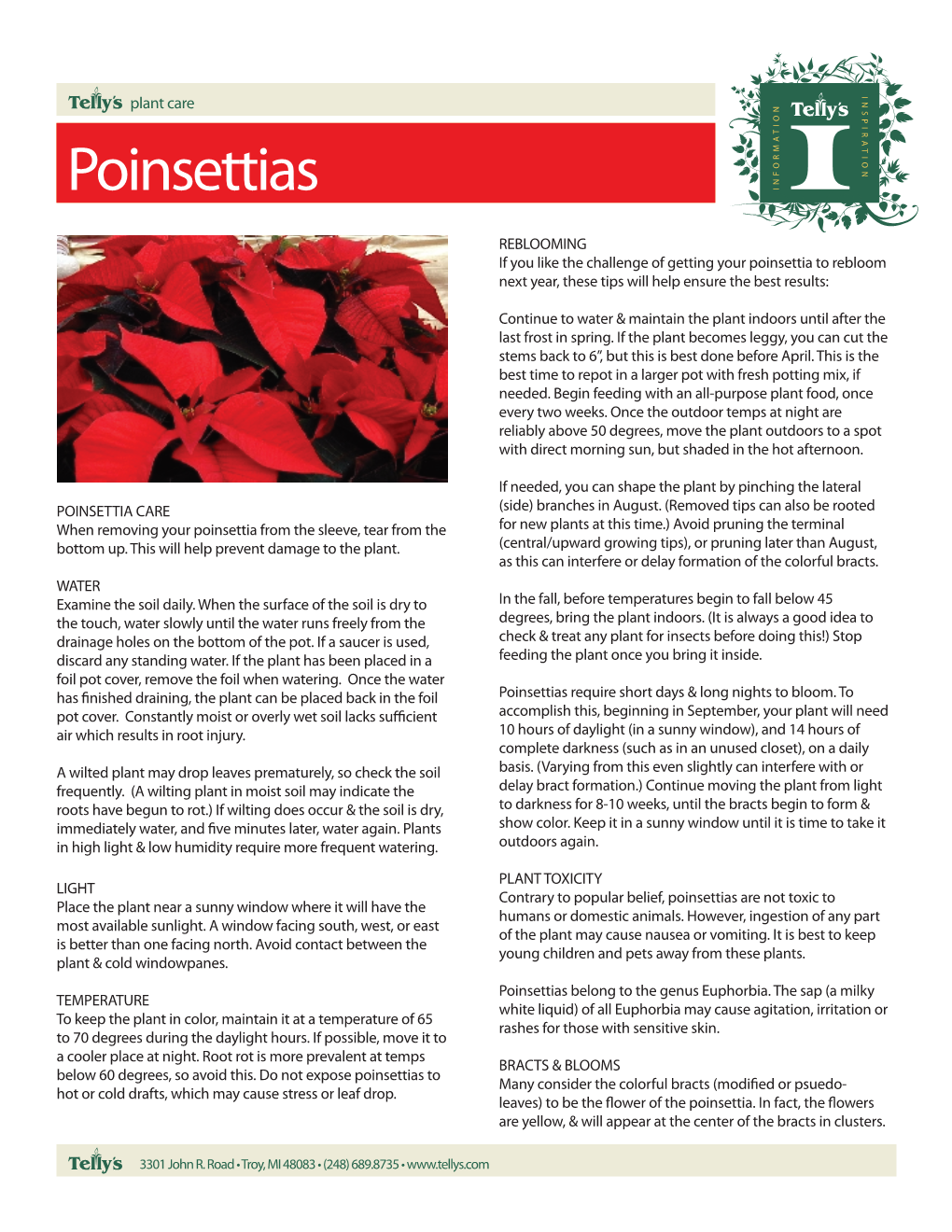 Poinsettia Care Sheet
