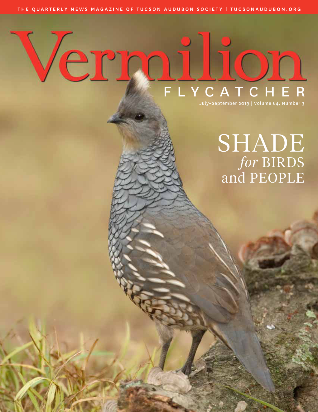 Flycatcher July–September 2019 | Volume 64, Number 3