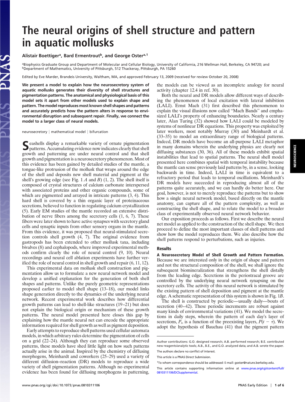 The Neural Origins of Shell Structure and Pattern in Aquatic Mollusks