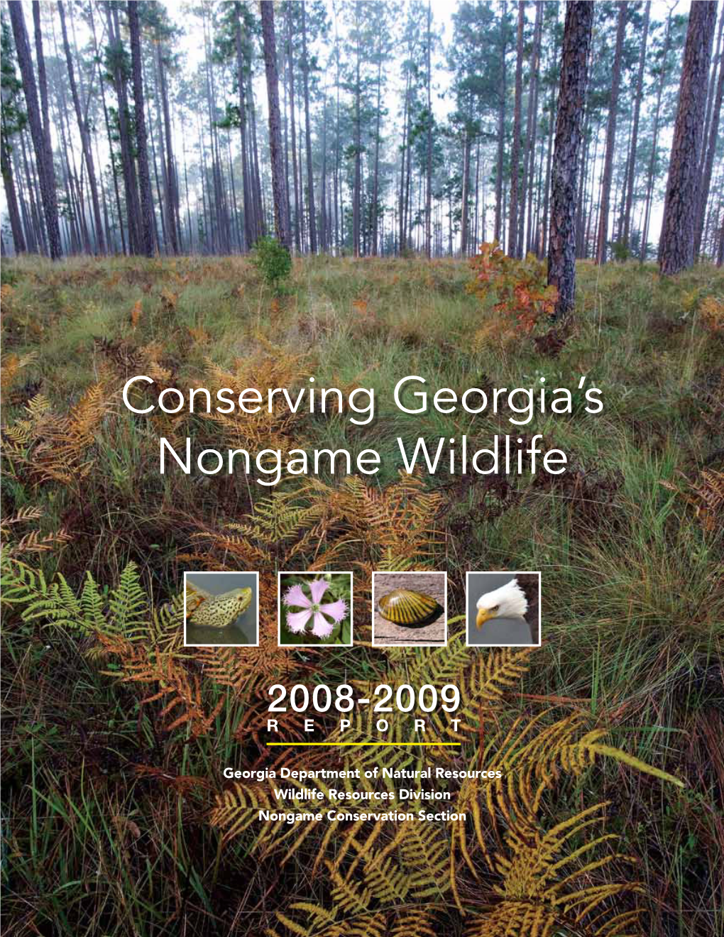 Conserving Georgia's Nongame Wildlife