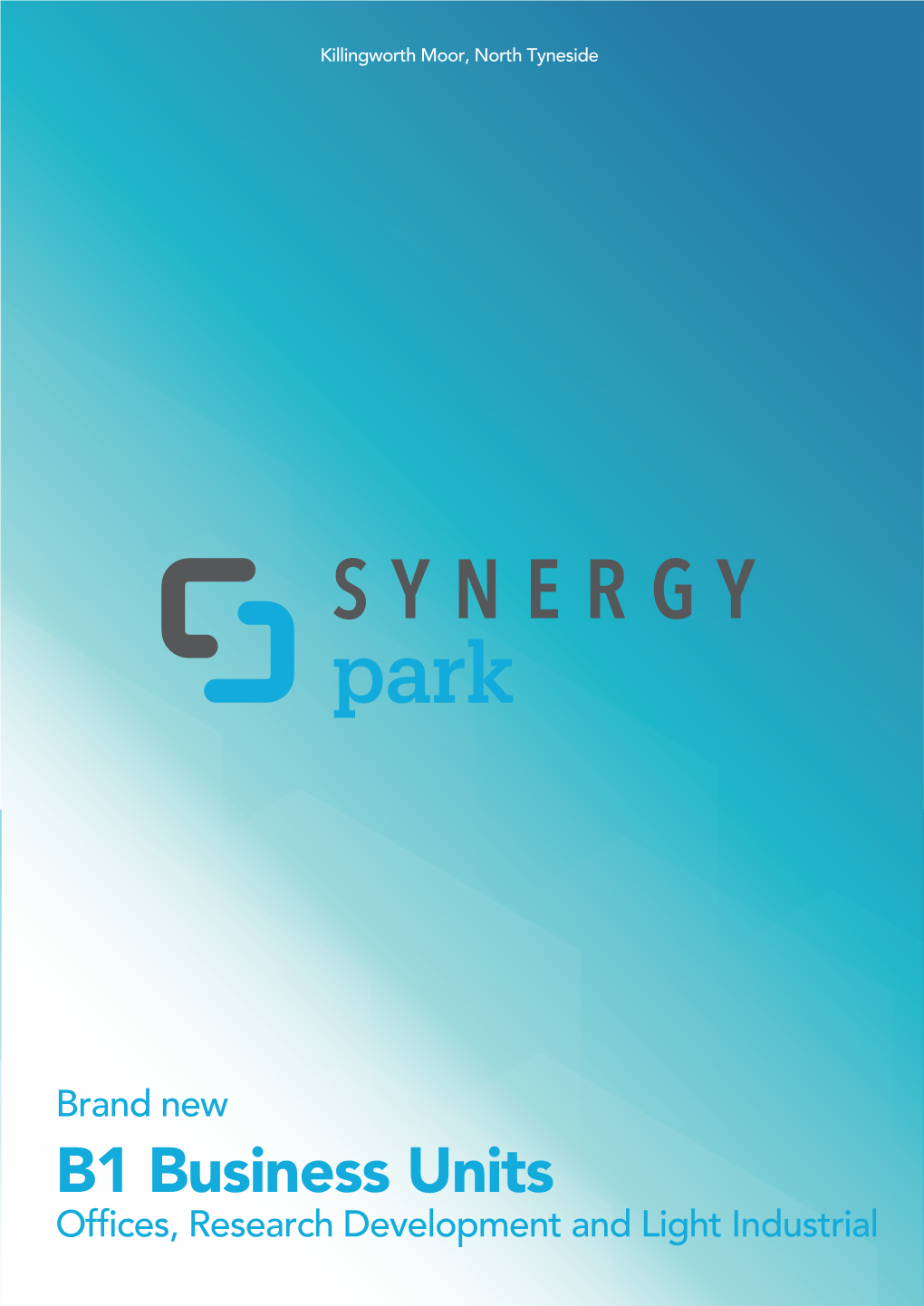 Synergy Brochure