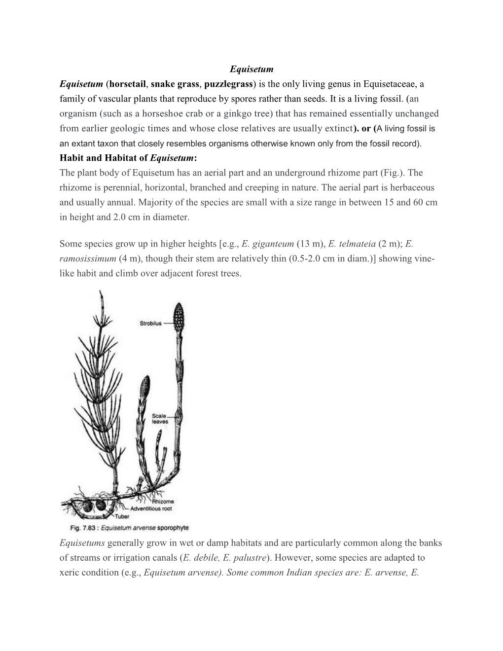 Equisetum Equisetum (Horsetail, Snake Grass, Puzzlegrass) Is the Only Living Genus in Equisetaceae, a Family of Vascular Plants