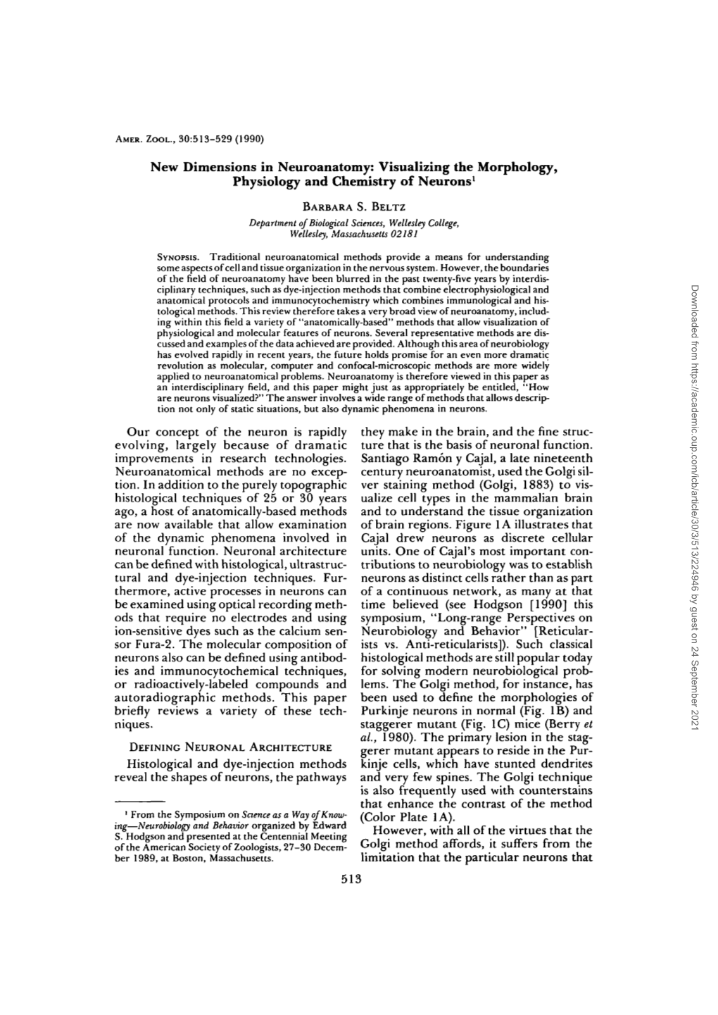 New Dimensions in Neuroanatomy: Visualizing the Morphology, Physiology and Chemistry of Neurons1