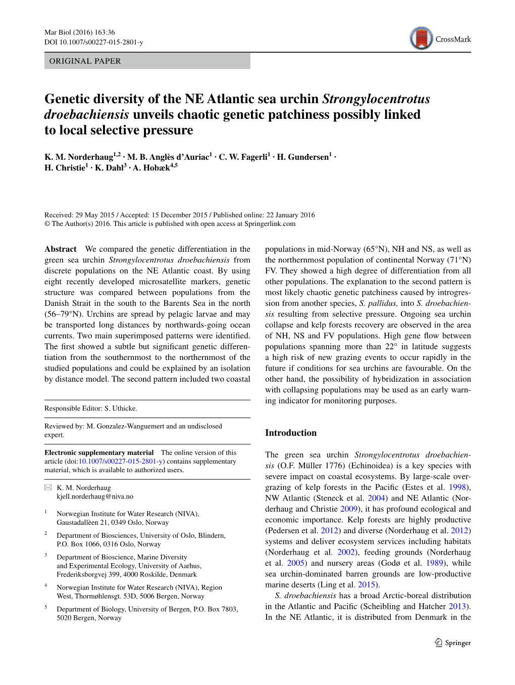 Genetic Diversity of the NE Atlantic Sea Urchin Strongylocentrotus Droebachiensis Unveils Chaotic Genetic Patchiness Possibly Linked to Local Selective Pressure