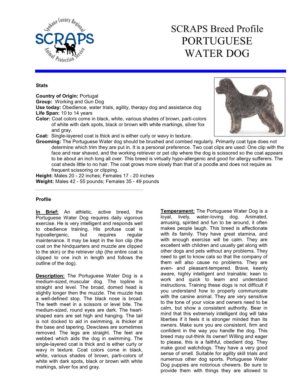 SCRAPS Breed Profile PORTUGUESE WATER DOG