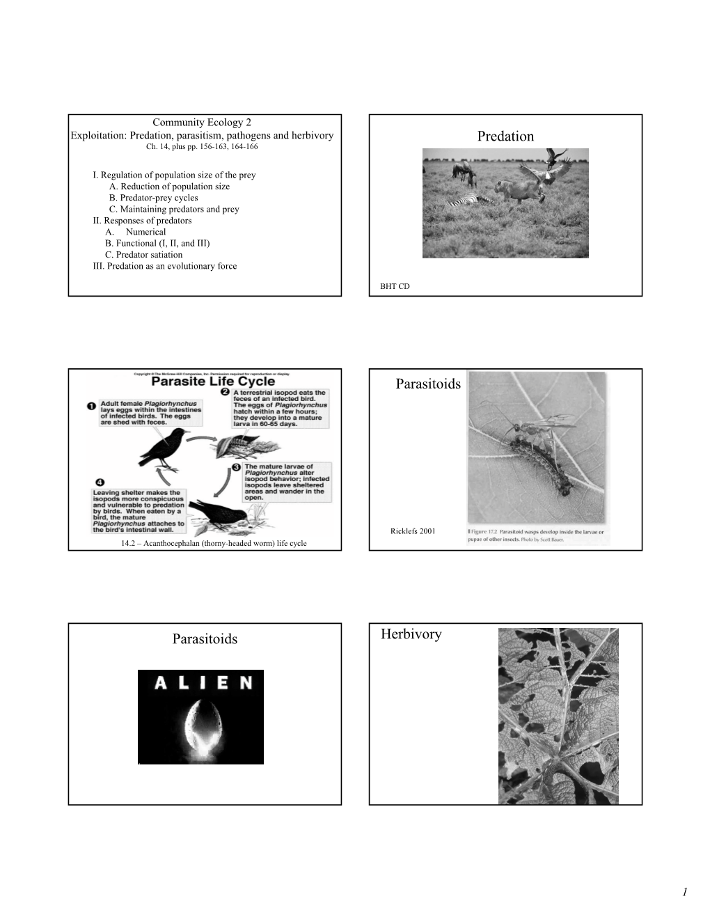 Predation Parasitoids Parasitoids Herbivory