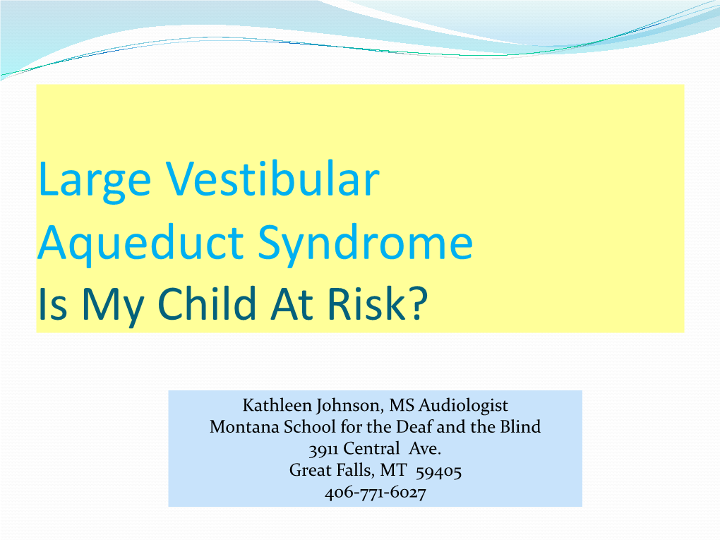 Suggestions for Families with Children with Large Vestibular Aqueduct Syndrome